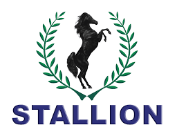 Stallon Finance Trust